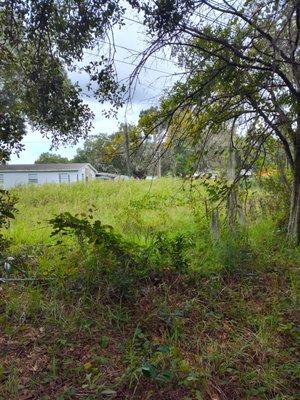 Amtrix Land Clearing And More