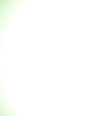 Westwood Palm Apartment