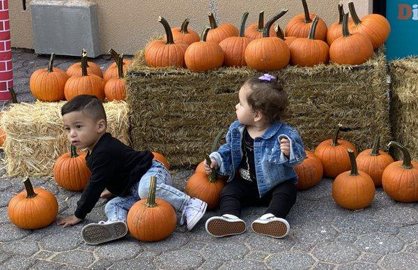 Academic Explorers of Merrick