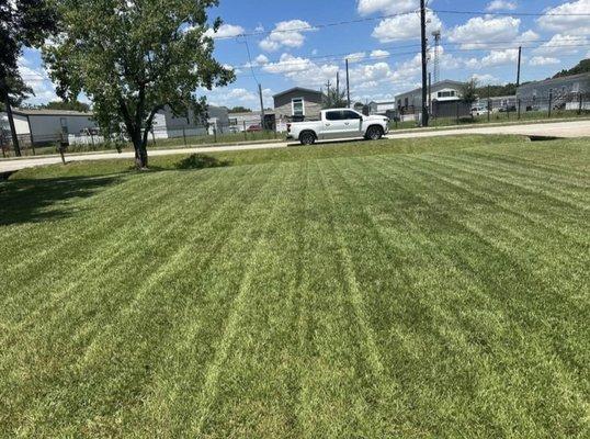 Acosta Landscaping Services