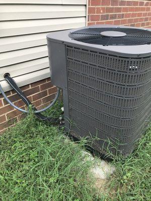 Authentic Branding Solutions