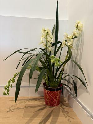 Menloville Country Store