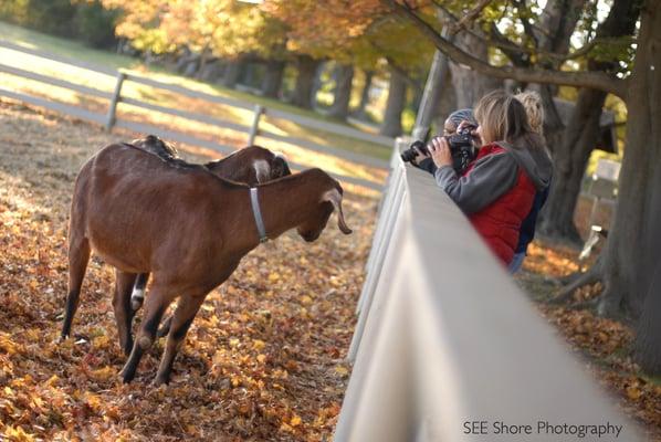 SEE Shore Photography