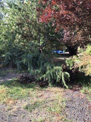 Premium Lawn & Landscapes