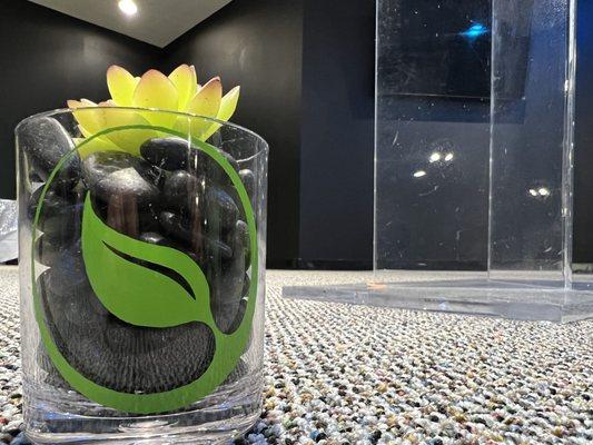 Vine of Hope Community Church