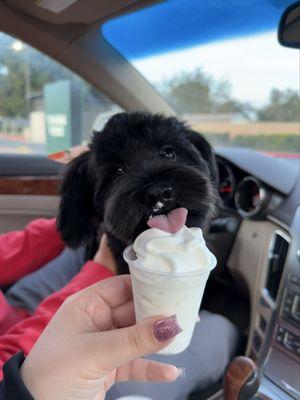 Reward for being a good boy