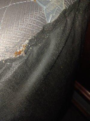 Tulsa Bed Bug Specialist