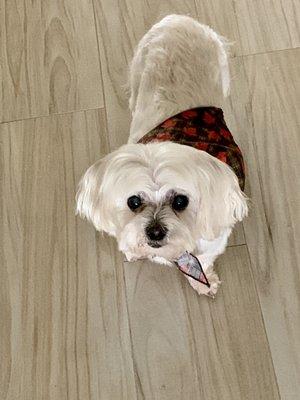 First time here and will be back.