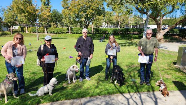 Noah's Ark Dog Training