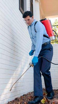 Wing 8 Pest Services