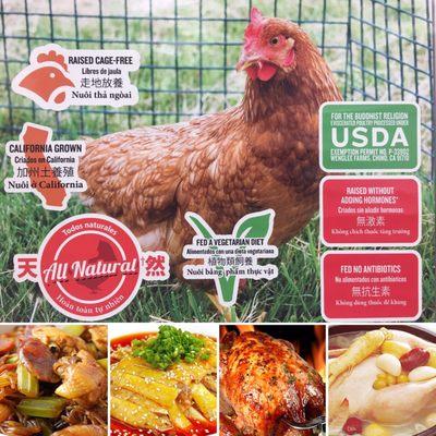 Best Wei Chinese Market