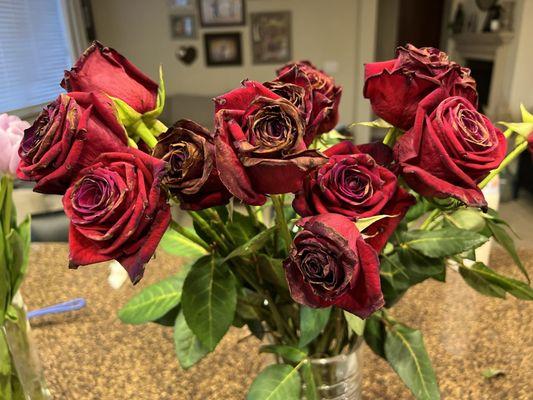 This is what they looked like after one day.