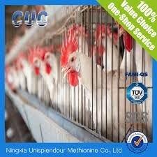 Atkinson Feed & Supply