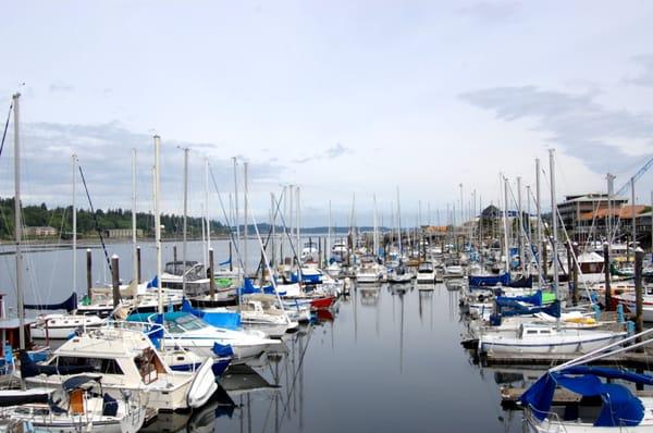 Karin Zeigler - RE/MAX Professionals