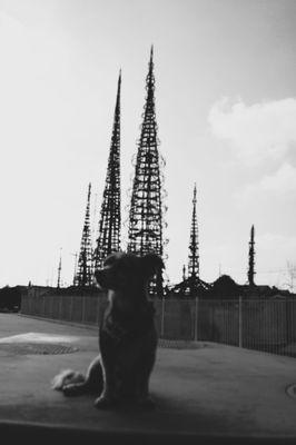 Watts Towers Arts Center
