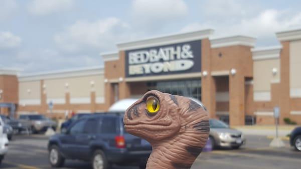 Bob the Raptor Says "Mammals must come here to sleep and take a bath... Tired Smelly Mammals!"