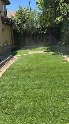 Evergreen Gardening Service