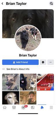 Brian's Dog Training & Pet Sitting