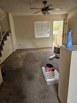 Mateo's Home Cleaning