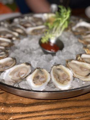 Oysters