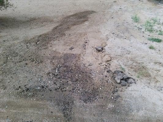 What i found in my yard today but the supervisor says it wasnt them..... right