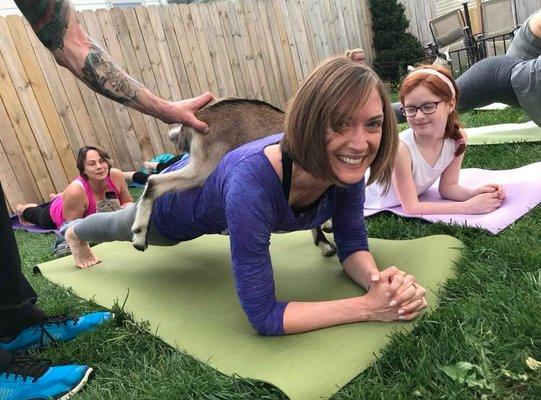 Studio You Yoga & Pilates