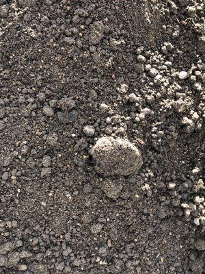 Big clumps of poop that get a worse smell if you try to cut them with a shovel.