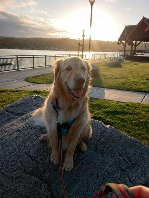 Chimacum Valley Veterinary Hospital