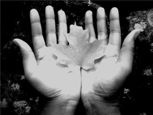 Healing Hands Massage Therapeutic Center