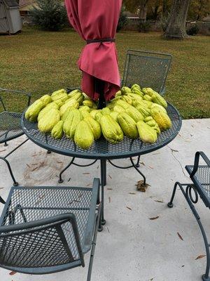 Alexandra Rodriguez - Realty ONE Group