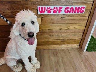 Woof Gang Bakery & Grooming Prosper