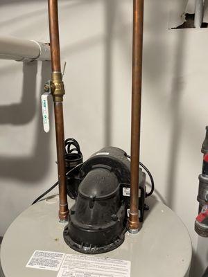 prestige home building