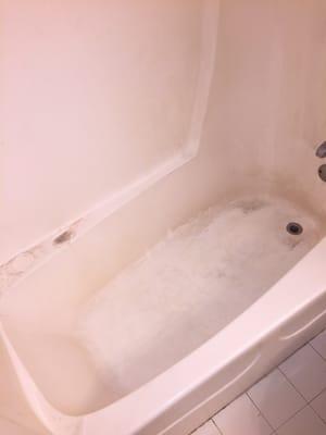 Healthy Green Cleaning Services