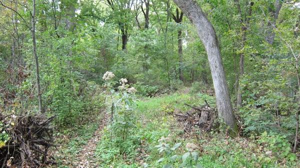 Wonderfully secluded hiking trails