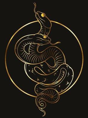 Ophidian Tattoo Gallery