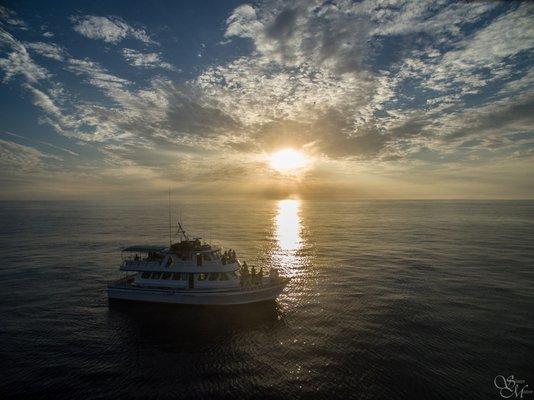 Ocean Explorer enjoying sunset