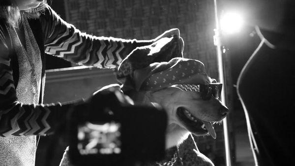 Unleashed Productions