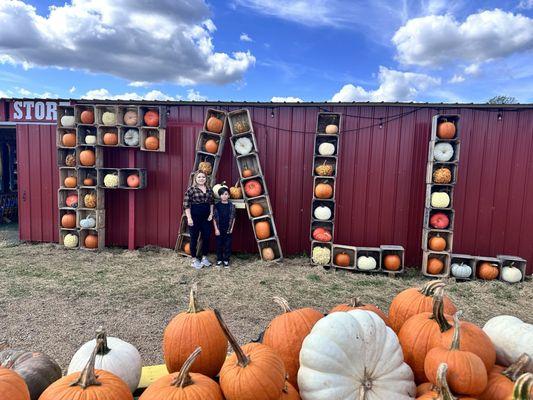 The Maryland Corn Maze