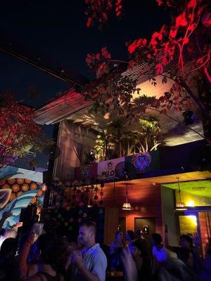 Pilo's Tequila Garden