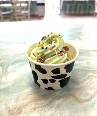 St Joe Sno Cones and Fro Yo