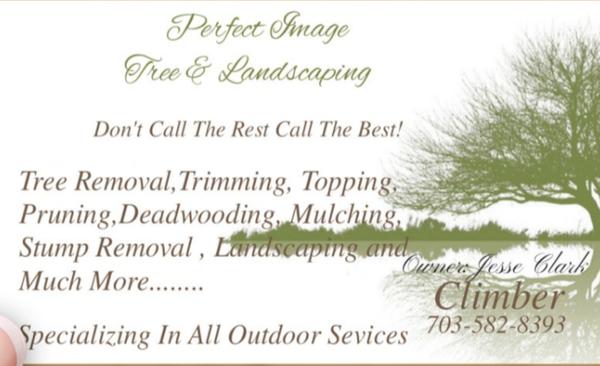 Perfect Image Tree & Landscaping