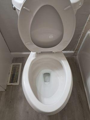 Toilet looks fabulous