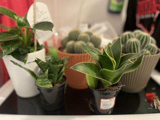 Home Services at the Home Depot