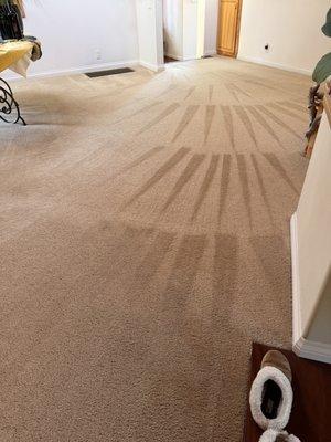 Castillos Carpet Cleaning