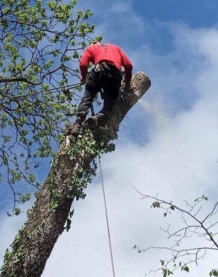 R&R Construction and Remolding