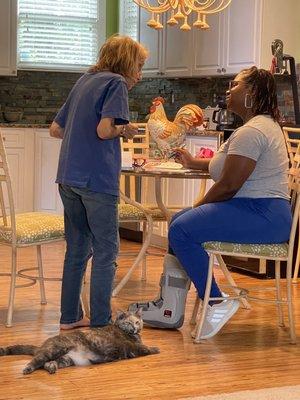 IProvide Home Care Solutions