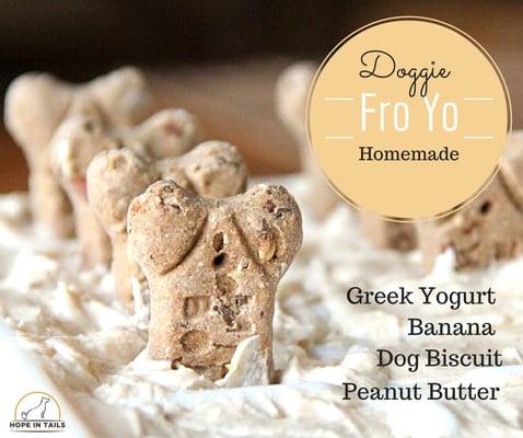 Hope In Tails Dog Training