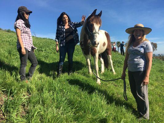 Cavallo Foundation Inc