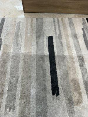 Deep shampoo cleaning for area rug