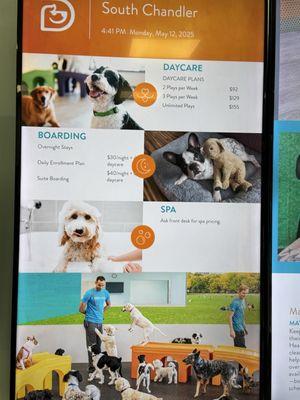 Dogtopia of South Chandler